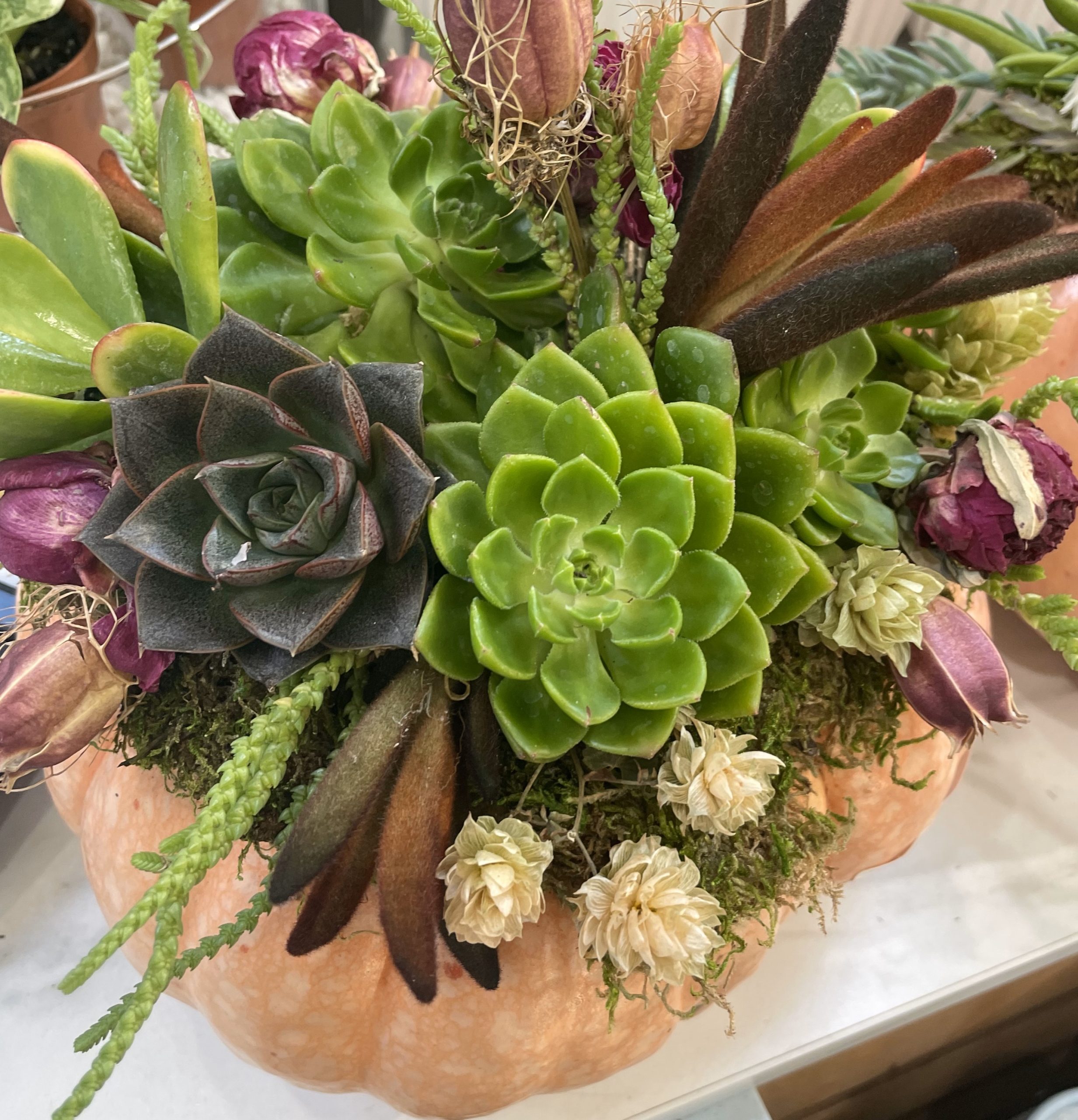 Pumpkin centerpiece decorated with assorted succulents, dried flowers, and moss