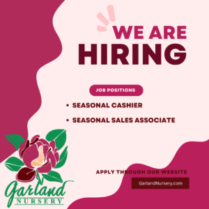 we're hiring graphic